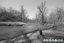 Filename=attachID_34364_postID_312666_DSC_0180.jpg
Filesize=131KiB
Dimensions=1000x666
Date added=May 17, 2018 attachID_34364_postID_312666_DSC_0180.jpg