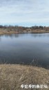 Filename=attachID_34371_postID_312735_IMG_20180421_132624.jpg
Filesize=84KiB
Dimensions=562x1000
Date added=May 17, 2018 attachID_34371_postID_312735_IMG_20180421_132624.jpg