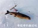 Filename=attachID_34395_postID_312924_21.jpg
Filesize=40KiB
Dimensions=600x450
Date added=May 17, 2018 attachID_34395_postID_312924_21.jpg