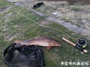 Filename=attachID_34405_postID_313032_IMG_20180423_193949.jpg
Filesize=232KiB
Dimensions=1000x750
Date added=May 17, 2018 attachID_34405_postID_313032_IMG_20180423_193949.jpg