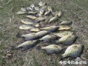 Filename=attachID_34475_postID_313480_IMG_20180428_172421.jpg
Filesize=239KiB
Dimensions=1000x750
Date added=May 17, 2018 attachID_34475_postID_313480_IMG_20180428_172421.jpg