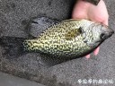 Filename=attachID_34477_postID_313496_IMG_5744.JPG
Filesize=218KiB
Dimensions=1000x750
Date added=May 17, 2018 attachID_34477_postID_313496_IMG_5744.JPG