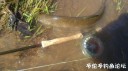 Filename=attachID_34520_postID_313982_IMG_20180430_8485.jpg
Filesize=76KiB
Dimensions=1000x562
Date added=May 17, 2018 attachID_34520_postID_313982_IMG_20180430_8485.jpg