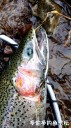 Filename=attachID_34579_postID_314475_20180504_181451.jpg
Filesize=136KiB
Dimensions=562x1000
Date added=May 17, 2018 attachID_34579_postID_314475_20180504_181451.jpg