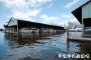 Filename=attachID_34595_postID_314650_DSC_0297.jpg
Filesize=91KiB
Dimensions=900x600
Date added=May 17, 2018 attachID_34595_postID_314650_DSC_0297.jpg