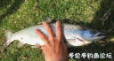 Filename=attachID_34599_postID_314652_atlantic.png
Filesize=834KiB
Dimensions=819x445
Date added=May 17, 2018 attachID_34599_postID_314652_atlantic.png