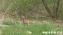 Filename=attachID_34715_postID_315452_IMG_20180511_31559.jpg
Filesize=76KiB
Dimensions=1000x562
Date added=May 17, 2018 attachID_34715_postID_315452_IMG_20180511_31559.jpg