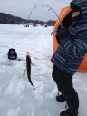 Filename=attachID_3992_postID_33566_joe.jpg
Filesize=221KiB
Dimensions=735x980
Date added=Dec 02, 2016 attachID_3992_postID_33566_joe.jpg