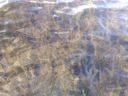 Filename=attachID_4225_postID_36021_20100807384.jpg
Filesize=883KiB
Dimensions=2592x1944
Date added=Dec 02, 2016 attachID_4225_postID_36021_20100807384.jpg