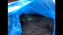 Filename=attachID_4487_postID_39492_image.jpg
Filesize=211KiB
Dimensions=1136x640
Date added=Dec 02, 2016 attachID_4487_postID_39492_image.jpg