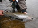 Filename=attachID_4624_postID_41067_DSCF2894.JPG
Filesize=150KiB
Dimensions=600x450
Date added=Dec 02, 2016 attachID_4624_postID_41067_DSCF2894.JPG