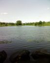 Filename=attachID_5065_postID_47358_POND.JPG
Filesize=98KiB
Dimensions=819x1024
Date added=Dec 02, 2016 attachID_5065_postID_47358_POND.JPG