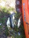 attachID_5665_postID_56012_WP_20140627_011.jpg
