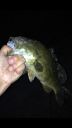 Filename=attachID_6053_postID_60033_image.jpg
Filesize=93KiB
Dimensions=640x1136
Date added=Dec 02, 2016 attachID_6053_postID_60033_image.jpg