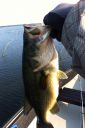Filename=attachID_6157_postID_61404_image.jpg
Filesize=167KiB
Dimensions=640x960
Date added=Dec 02, 2016 attachID_6157_postID_61404_image.jpg