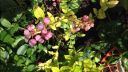 Filename=attachID_6362_postID_64381_image.jpg
Filesize=278KiB
Dimensions=1136x640
Date added=Dec 02, 2016 attachID_6362_postID_64381_image.jpg