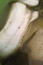 Filename=attachID_6486_postID_65724_image.jpg
Filesize=193KiB
Dimensions=640x960
Date added=Dec 02, 2016 attachID_6486_postID_65724_image.jpg