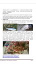 Filename=attachID_6603_postID_66884_image.jpg
Filesize=240KiB
Dimensions=640x1136
Date added=Dec 02, 2016 attachID_6603_postID_66884_image.jpg