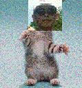 Filename=attachID_6616_postID_67046_yuanshai.gif
Filesize=130KiB
Dimensions=280x299
Date added=Dec 02, 2016 attachID_6616_postID_67046_yuanshai.gif