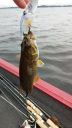 Filename=attachID_6886_postID_69321__0SturgeonLake01.jpg
Filesize=159KiB
Dimensions=540x960
Date added=Dec 02, 2016 attachID_6886_postID_69321__0SturgeonLake01.jpg