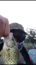 Filename=attachID_7085_postID_71261_photo1.PNG
Filesize=241KiB
Dimensions=360x640
Date added=Dec 02, 2016 attachID_7085_postID_71261_photo1.PNG