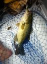 Filename=attachID_7109_postID_71452_taotec1.JPG
Filesize=278KiB
Dimensions=640x856
Date added=Dec 02, 2016 attachID_7109_postID_71452_taotec1.JPG
