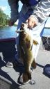 Filename=attachID_7517_postID_74299__0Bob07a.jpg
Filesize=187KiB
Dimensions=460x817
Date added=Dec 02, 2016 attachID_7517_postID_74299__0Bob07a.jpg