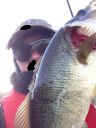 Filename=attachID_7630_postID_75548_photo2.JPG
Filesize=115KiB
Dimensions=480x640
Date added=Dec 02, 2016 attachID_7630_postID_75548_photo2.JPG