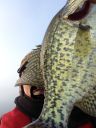 Filename=attachID_7631_postID_75548_photo1.JPG
Filesize=129KiB
Dimensions=480x640
Date added=Dec 02, 2016 attachID_7631_postID_75548_photo1.JPG