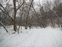 Filename=attachID_7743_postID_76948_DSCF1526.jpg
Filesize=209KiB
Dimensions=600x450
Date added=Dec 02, 2016 attachID_7743_postID_76948_DSCF1526.jpg