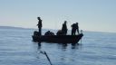 Filename=attachID_7990_postID_78357_Dsc09121.jpg
Filesize=72KiB
Dimensions=960x540
Date added=Dec 02, 2016 attachID_7990_postID_78357_Dsc09121.jpg