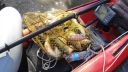 Filename=attachID_7999_postID_78357_Dsc09152.jpg
Filesize=180KiB
Dimensions=960x540
Date added=Dec 02, 2016 attachID_7999_postID_78357_Dsc09152.jpg