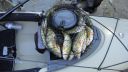 Filename=attachID_8017_postID_78357_Dsc09211.jpg
Filesize=148KiB
Dimensions=960x540
Date added=Dec 02, 2016 attachID_8017_postID_78357_Dsc09211.jpg