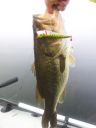 Filename=attachID_8095_postID_78789_20140928bass.jpg
Filesize=110KiB
Dimensions=750x1000
Date added=Dec 02, 2016 attachID_8095_postID_78789_20140928bass.jpg