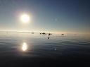 Filename=attachID_8220_postID_79804_image.jpg
Filesize=60KiB
Dimensions=1200x899
Date added=Dec 02, 2016 attachID_8220_postID_79804_image.jpg