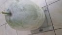 Filename=attachID_8263_postID_80118_20141004_104400.jpg
Filesize=66KiB
Dimensions=1200x675
Date added=Dec 02, 2016 attachID_8263_postID_80118_20141004_104400.jpg