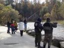 Filename=attachID_8288_postID_80344_r3.jpg
Filesize=240KiB
Dimensions=1071x804
Date added=Dec 02, 2016 attachID_8288_postID_80344_r3.jpg