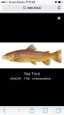 Filename=attachID_8365_postID_81189_image.jpg
Filesize=82KiB
Dimensions=640x1136
Date added=Dec 02, 2016 attachID_8365_postID_81189_image.jpg