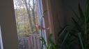 Filename=attachID_8616_postID_83322_WP_20141017_003.jpg
Filesize=71KiB
Dimensions=1200x673
Date added=Dec 02, 2016 attachID_8616_postID_83322_WP_20141017_003.jpg