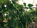 Filename=attachID_8628_postID_83359_image.jpg
Filesize=312KiB
Dimensions=1024x768
Date added=Dec 02, 2016 attachID_8628_postID_83359_image.jpg