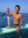 Filename=attachID_8768_postID_84094_surfboard1.jpg
Filesize=51KiB
Dimensions=480x640
Date added=Dec 02, 2016 attachID_8768_postID_84094_surfboard1.jpg