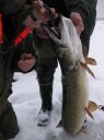 Filename=attachID_8825_postID_84432_sweden_ice_fishing.jpg
Filesize=100KiB
Dimensions=899x1200
Date added=Dec 02, 2016 attachID_8825_postID_84432_sweden_ice_fishing.jpg