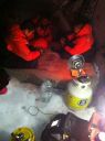 Filename=attachID_8954_postID_85254_image.jpg
Filesize=174KiB
Dimensions=640x856
Date added=Dec 02, 2016 attachID_8954_postID_85254_image.jpg