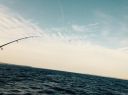 Filename=attachID_9389_postID_88337_FullSizeRender.jpg
Filesize=102KiB
Dimensions=1200x899
Date added=Dec 02, 2016 attachID_9389_postID_88337_FullSizeRender.jpg