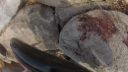Filename=attachID_9921_postID_92961_fishing6.jpg
Filesize=128KiB
Dimensions=1200x675
Date added=Dec 02, 2016 attachID_9921_postID_92961_fishing6.jpg
