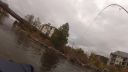 Filename=attachID_9933_postID_93070_fish3.jpg
Filesize=87KiB
Dimensions=1200x675
Date added=Dec 02, 2016 attachID_9933_postID_93070_fish3.jpg