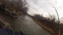 Filename=attachID_9984_postID_93568_fish8.jpg
Filesize=104KiB
Dimensions=1200x675
Date added=Dec 02, 2016 attachID_9984_postID_93568_fish8.jpg