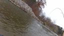 Filename=attachID_9985_postID_93570_fish9.jpg
Filesize=131KiB
Dimensions=1200x675
Date added=Dec 02, 2016 attachID_9985_postID_93570_fish9.jpg